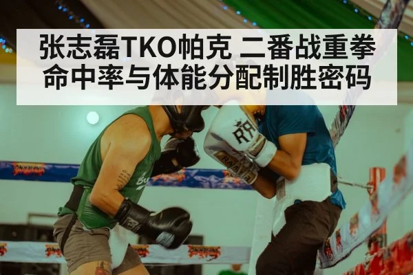 张志磊TKO帕克 二番战重拳命中率与体能分配制胜密码